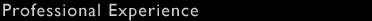 Professional Experience