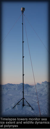 Timelapse towers